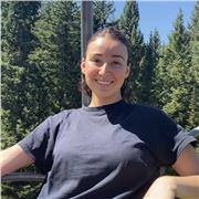 Profesora del paquete de Microsoft - Excel, PowerPoint y Word